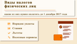 Виды налогов физических лиц: какие нужно уплатить до 1 декабря 2017 года